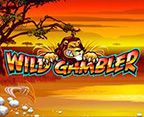 Wild Gambler